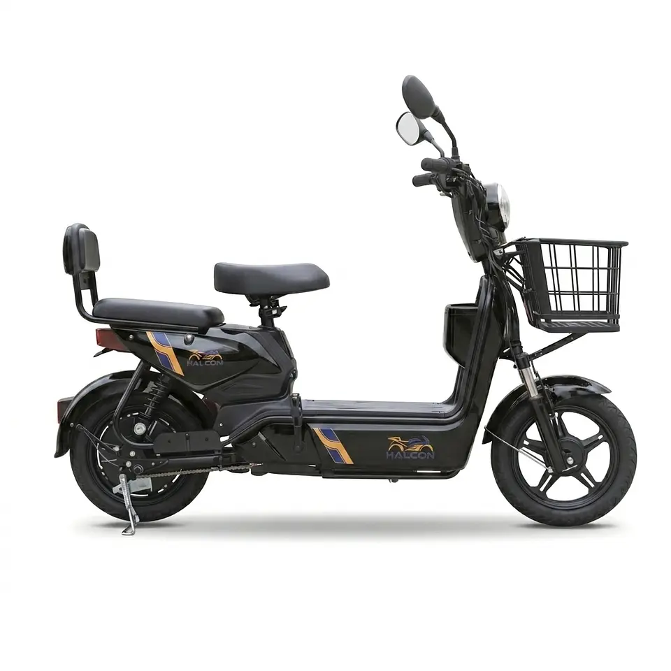 Electric Gel Battery Moped 3