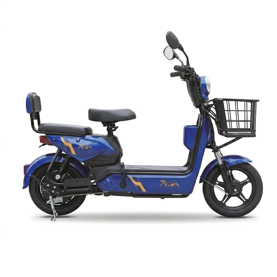 Bicicleta Eléctrica · Oferta x5 2