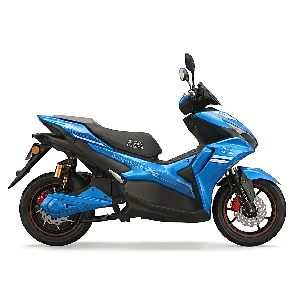 Moto Eléctrica  3