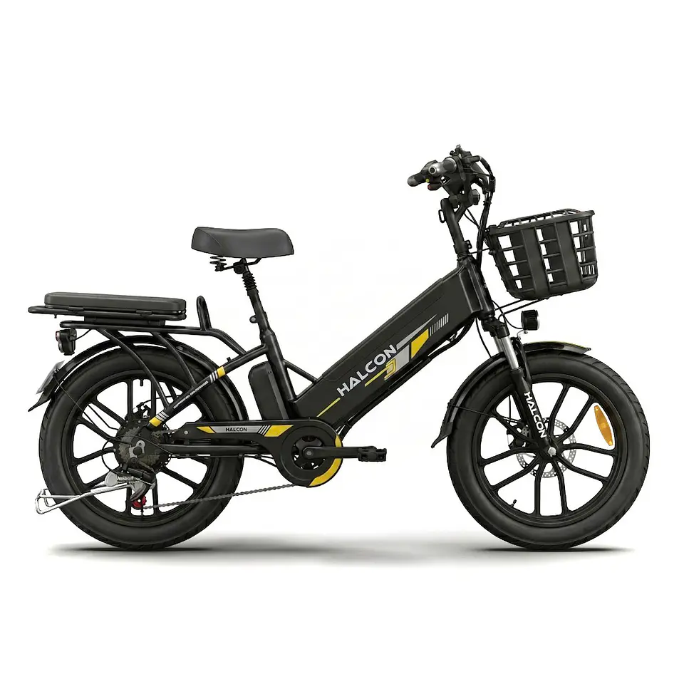 Bicicleta Eléctrica 2