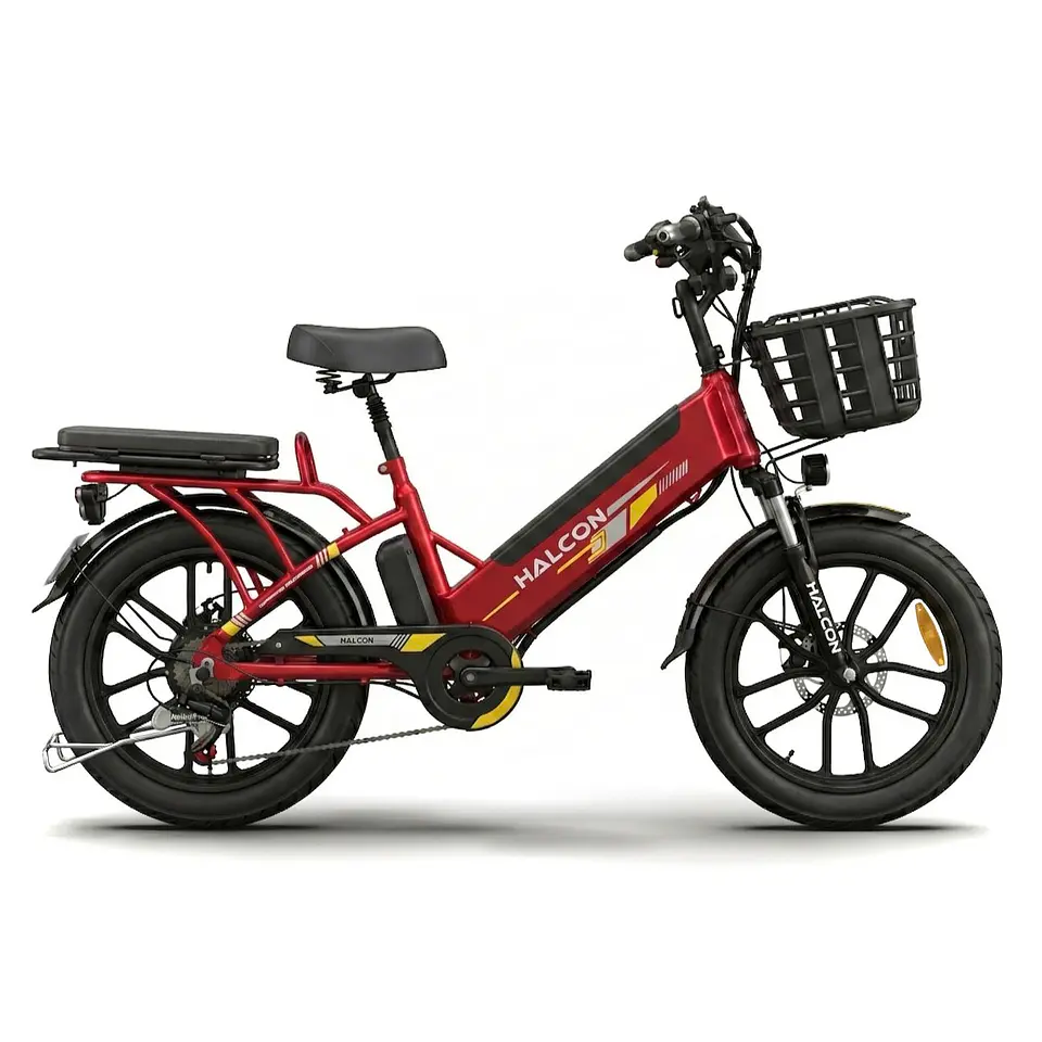 Bicicleta Eléctrica 1