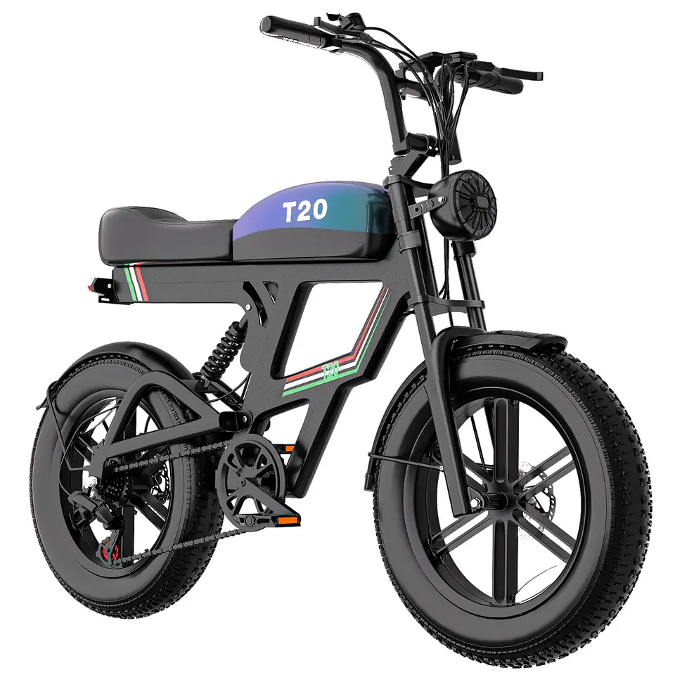Bicicleta Eléctrica 3