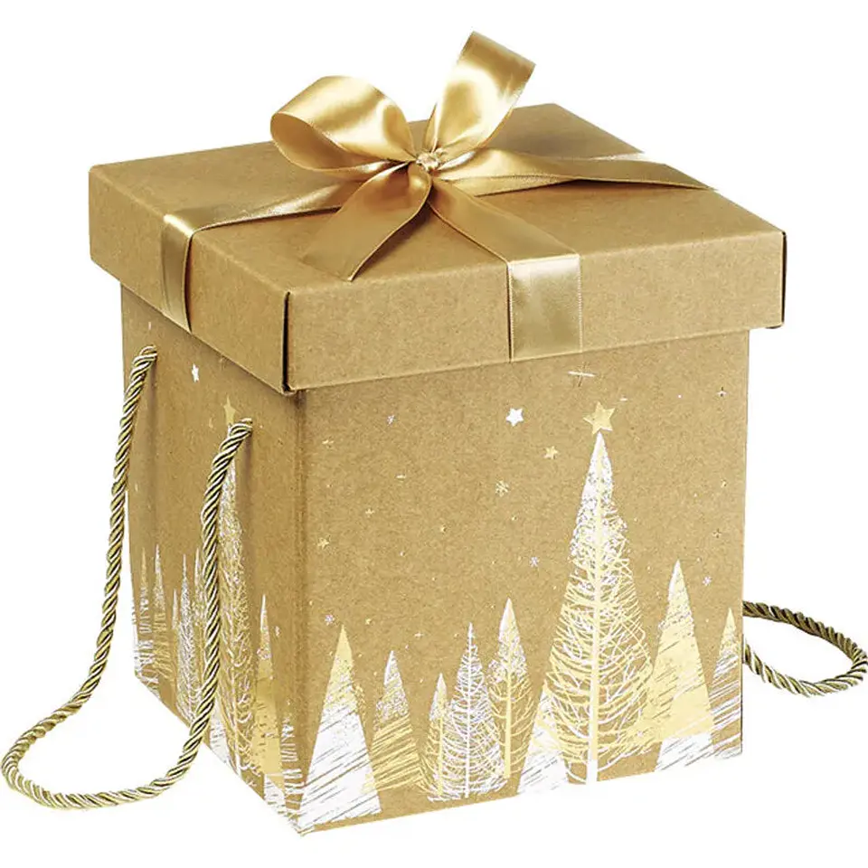 Para Até 4 Ornamentos — Caixa Presente M (18 × 18 × 19,5 cm) 1