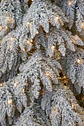 Árvore de Natal Branca 2,30m com 420 Luzes LED - Thumbnail 2