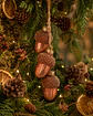 Bolotas - Thumbnail 3