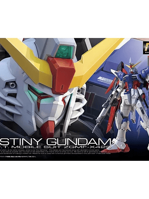  MODEL KIT RG 1/144 DESTINY GUNDAM BANDAI