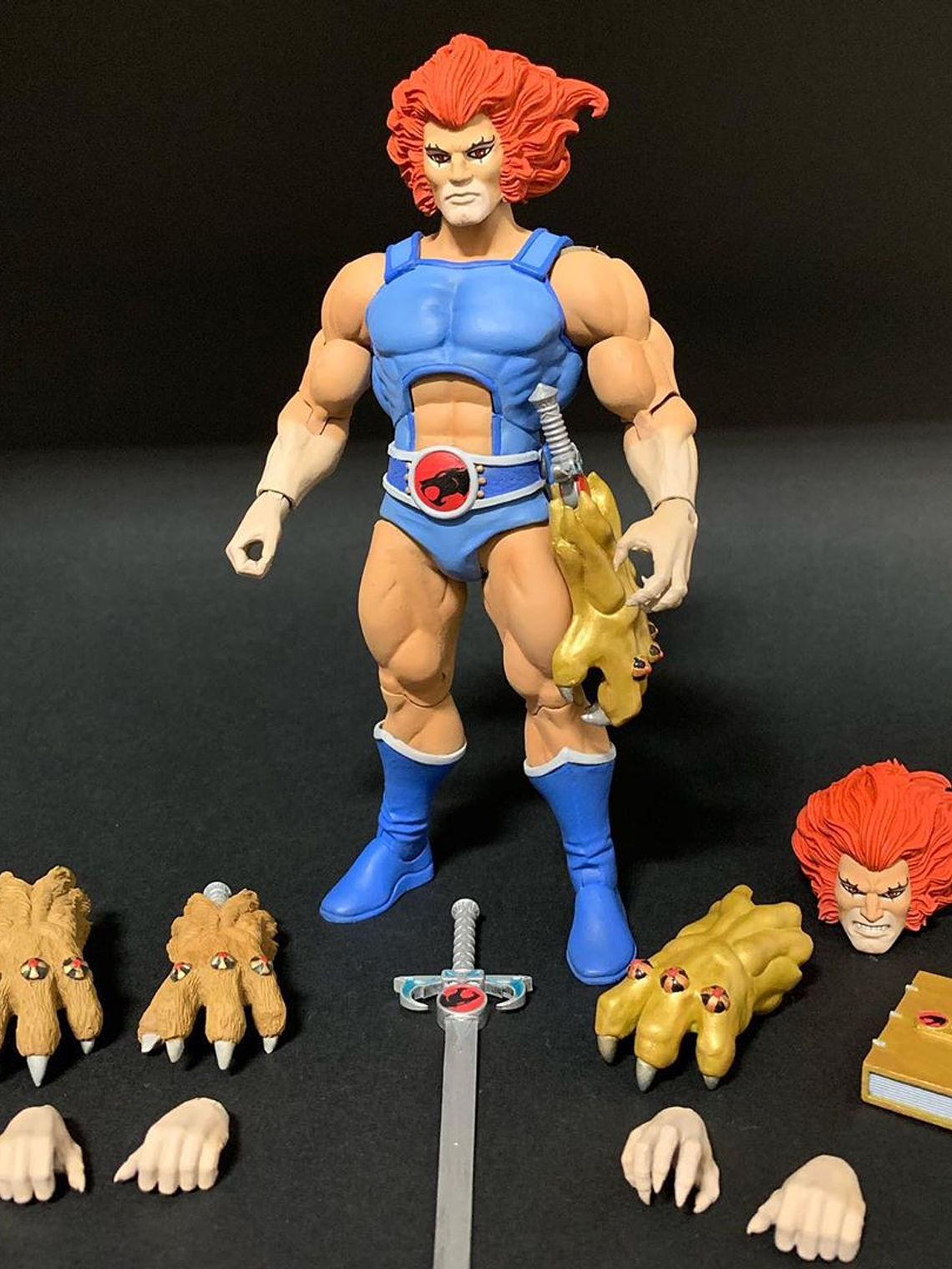Lion-O: El Noble Señor de los ThunderCats Super 7 3