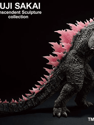 Godzilla (2024) - Evolved ver. - 