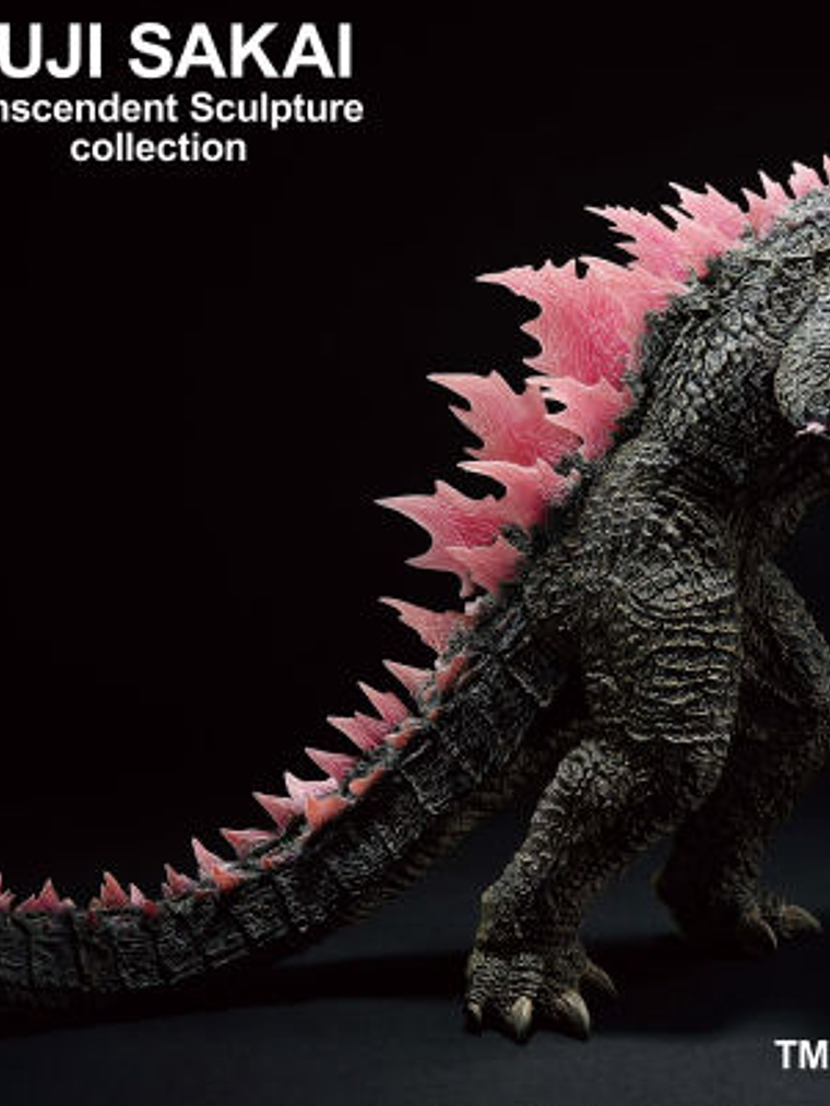 Godzilla (2024) - Evolved ver. - 