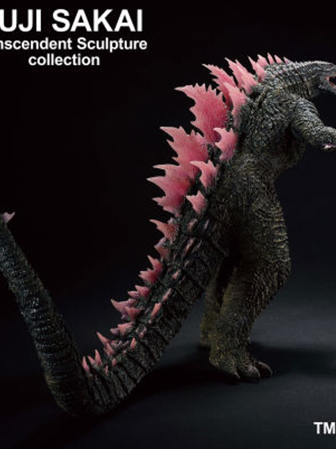 Godzilla (2024) - Evolved ver. - 