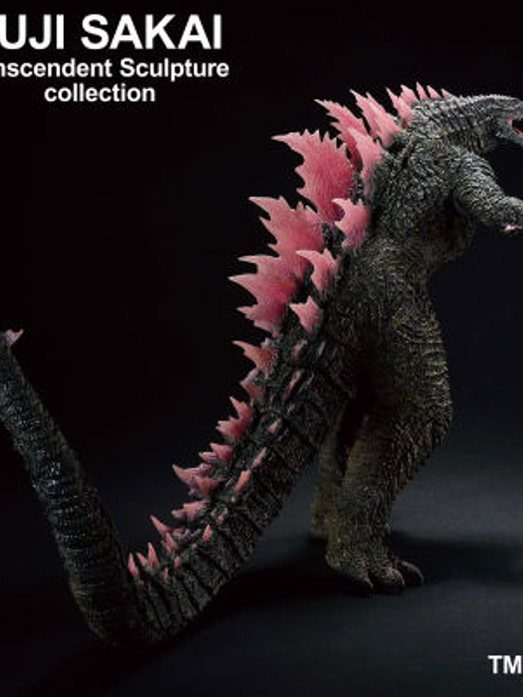 Godzilla (2024) - Evolved ver. - 