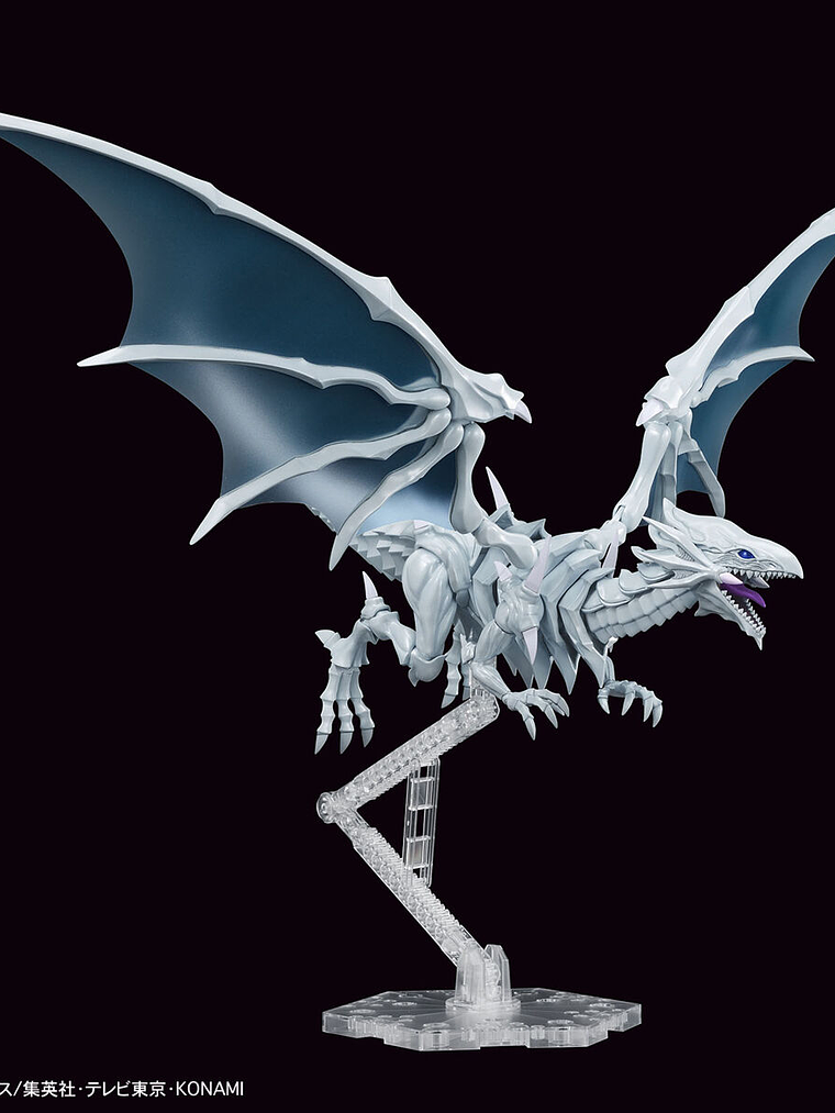 Figure-rise Standard Amplified Blue-Eyes White Dragon (Plastic model) 5