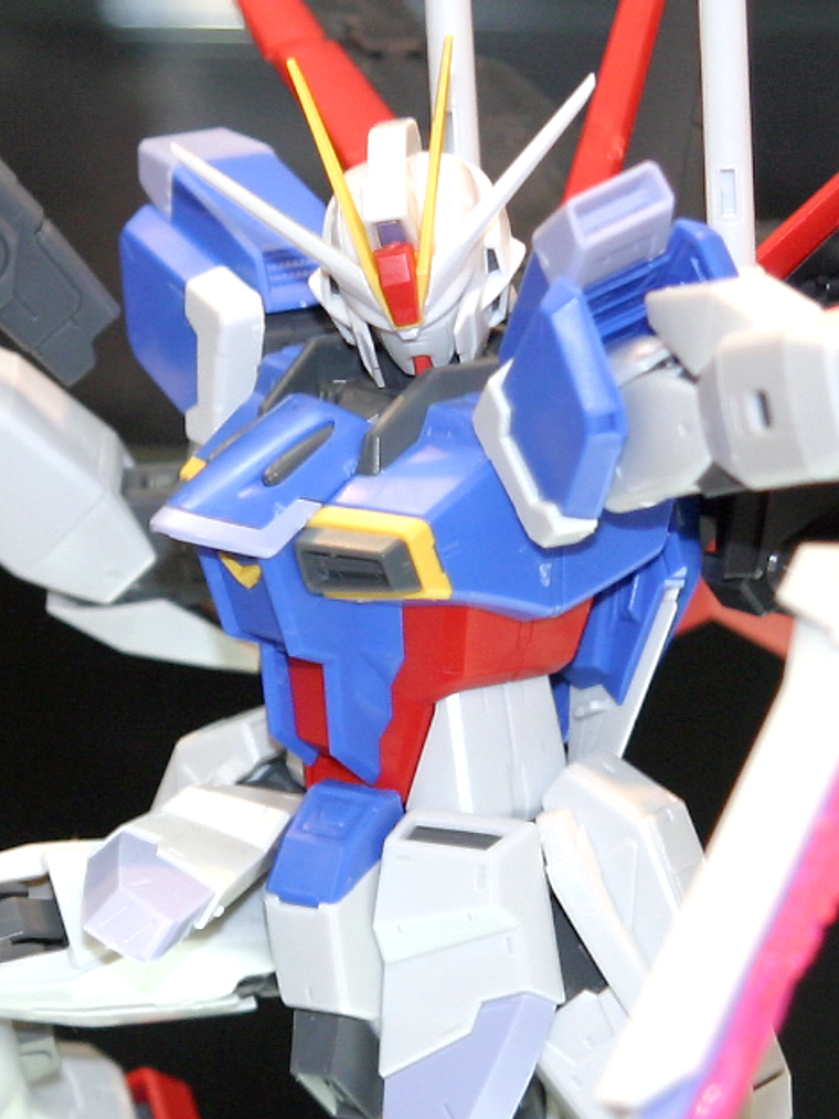  1/100 MG Force Impulse Gundam 5