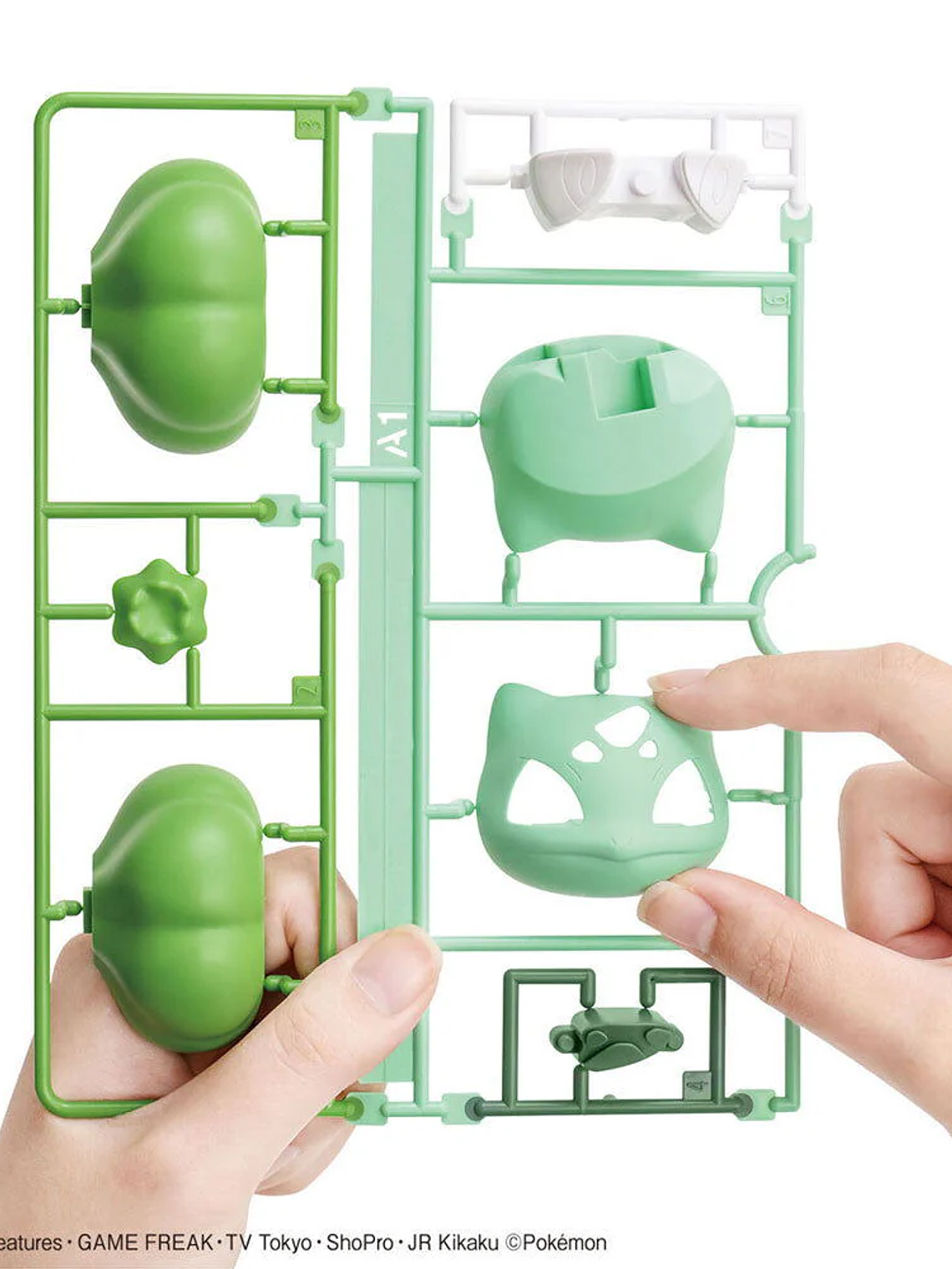 BANDAI POKEMON PLAMO COLLECTION QUICK!! NO.13 BULBASAUR 3