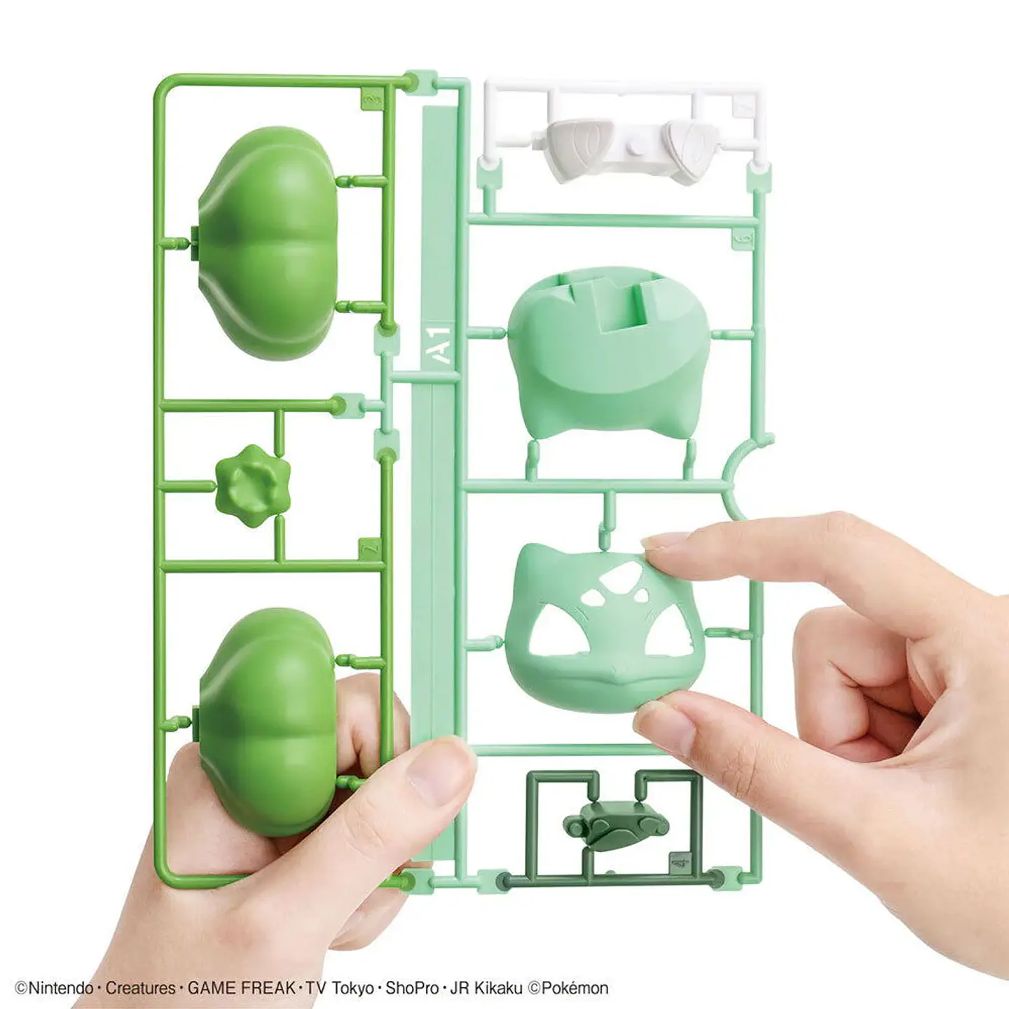 BANDAI POKEMON PLAMO COLLECTION QUICK!! NO.13 BULBASAUR 3
