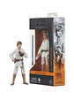 Star Wars The Black Series – Luke Skywalker (A New Hope) 15 cm – Figura Premium Nueva y Sellada - thumbnail 1