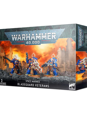 Warhammer 40,000: Space Marines - Bladeguard Veterans