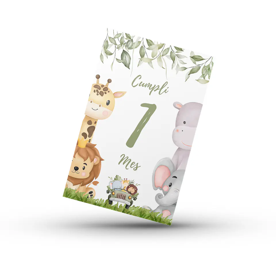 24 Tarjetas Hitos de Bebé Animales 1