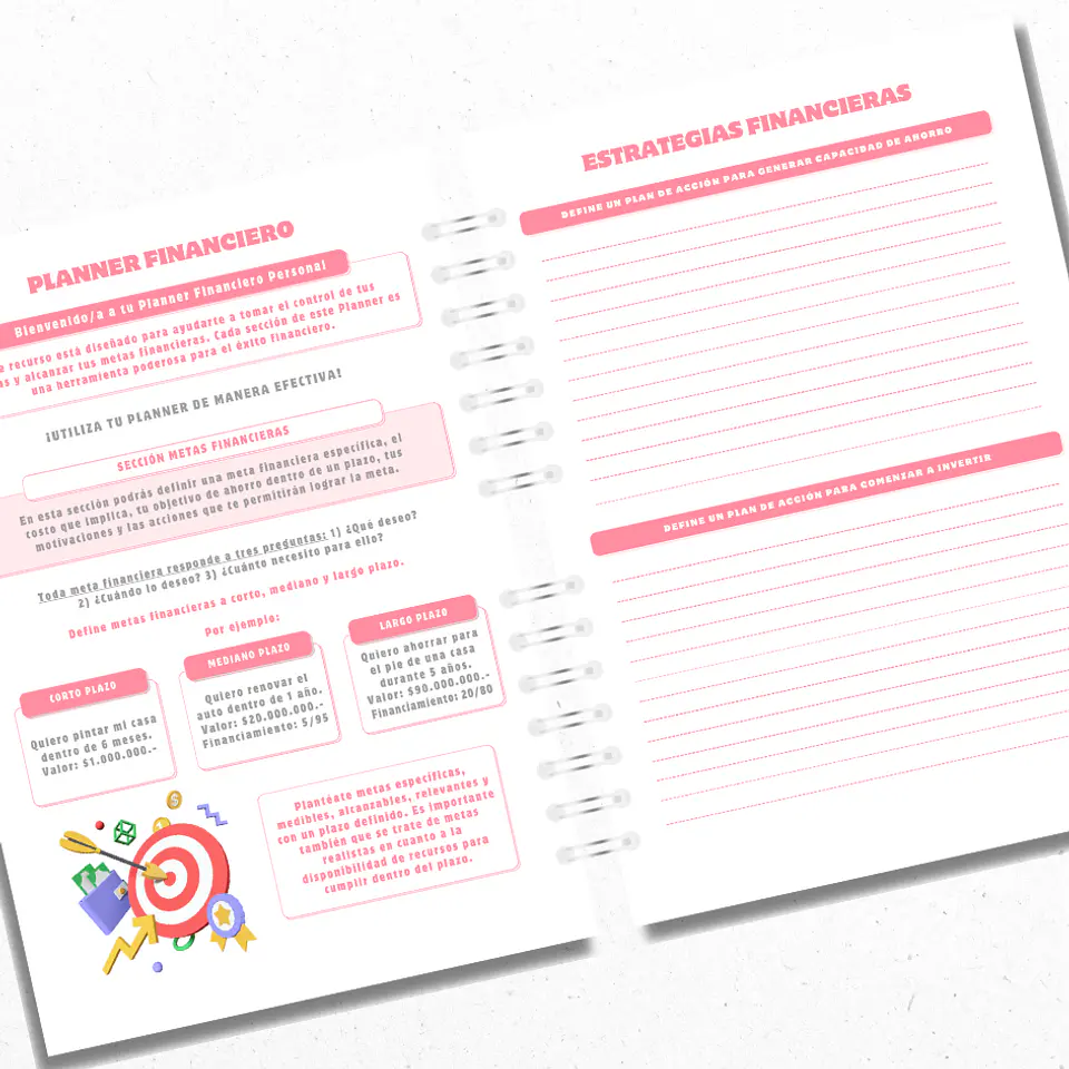 Planner Financiero Anual Rosado 2