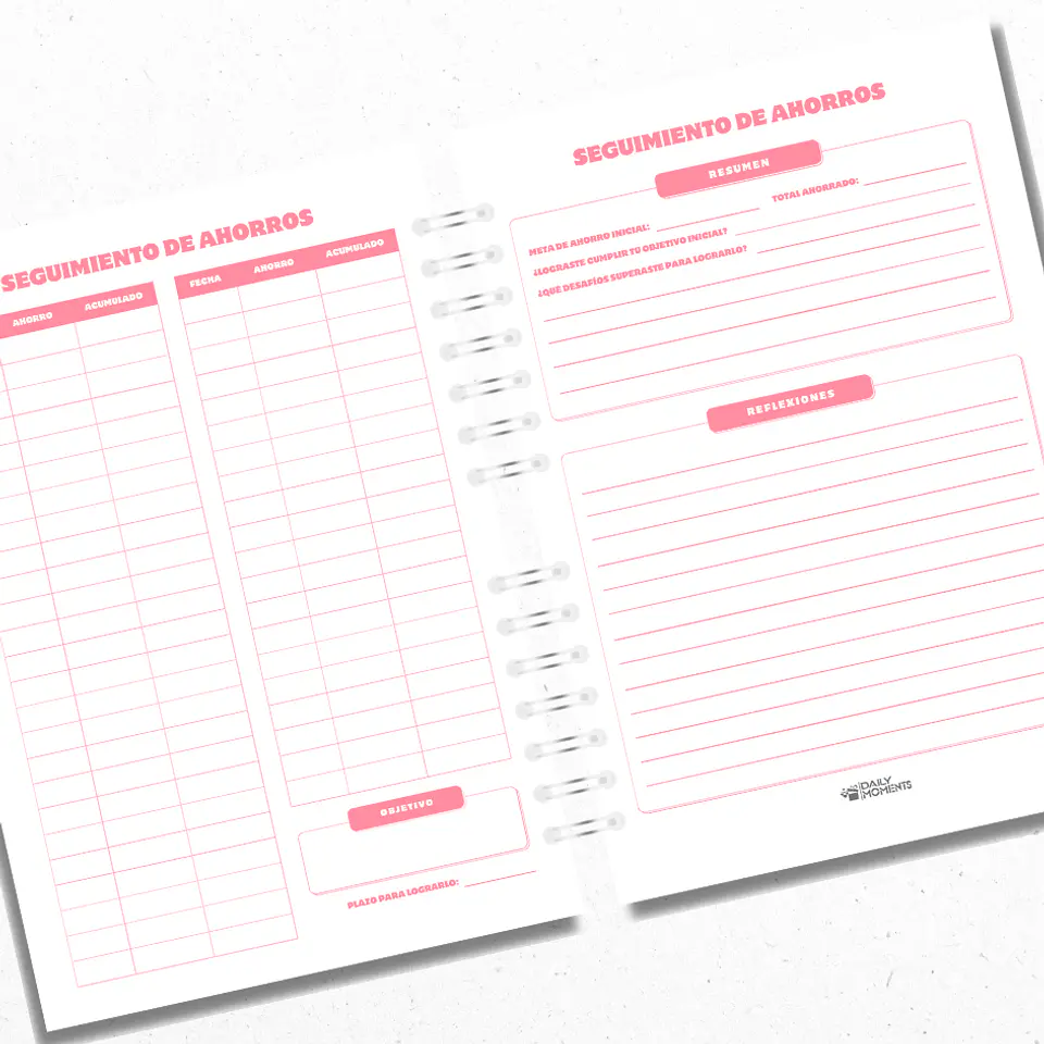Planner Financiero Anual Rosado 3