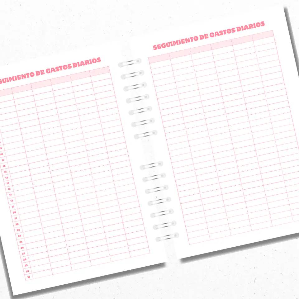 Planner Financiero Anual Rosado 4