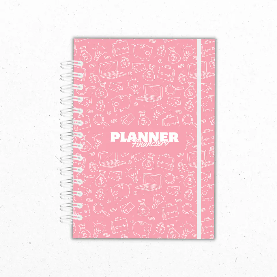 Planner Financiero Anual Rosado 1