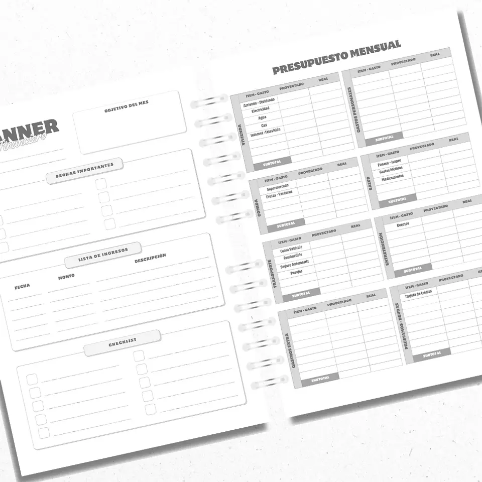 Planner Financiero Anual Celeste 5
