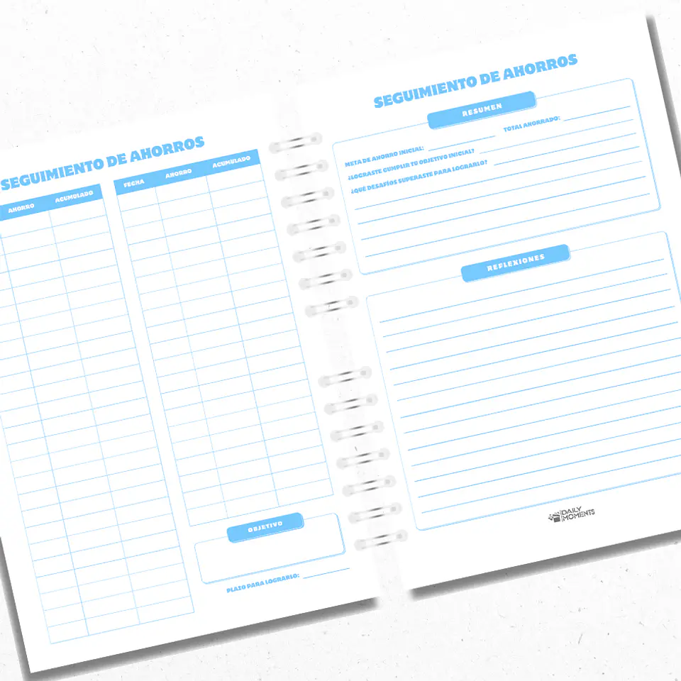 Planner Financiero Anual Celeste 3