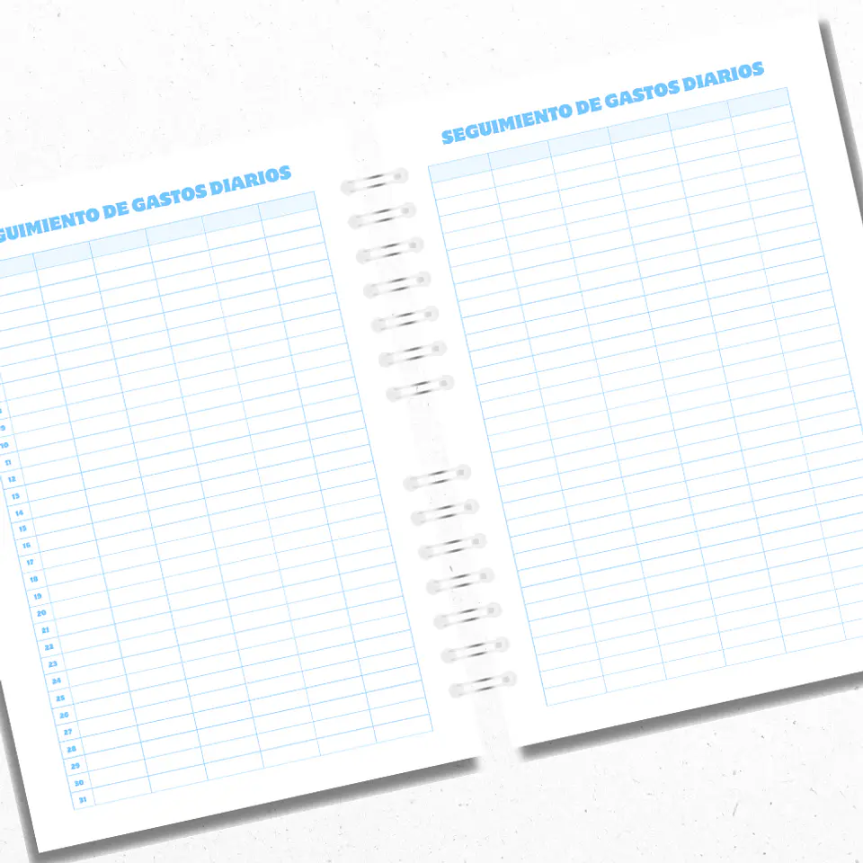 Planner Financiero Anual Celeste 4