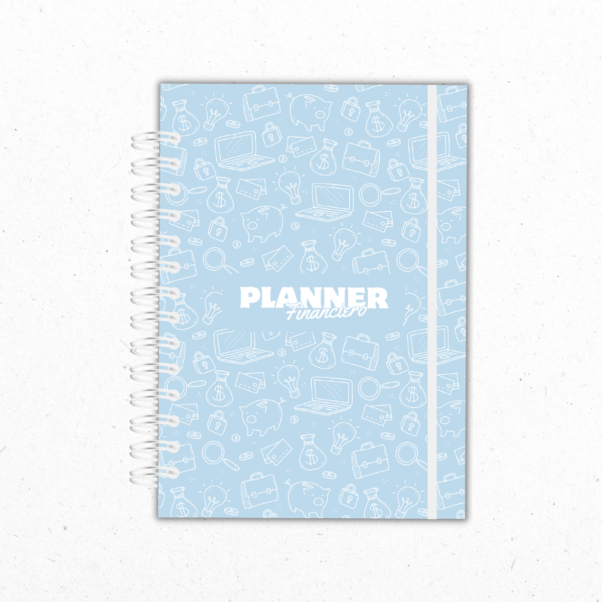 Planner Financiero Anual Celeste 1