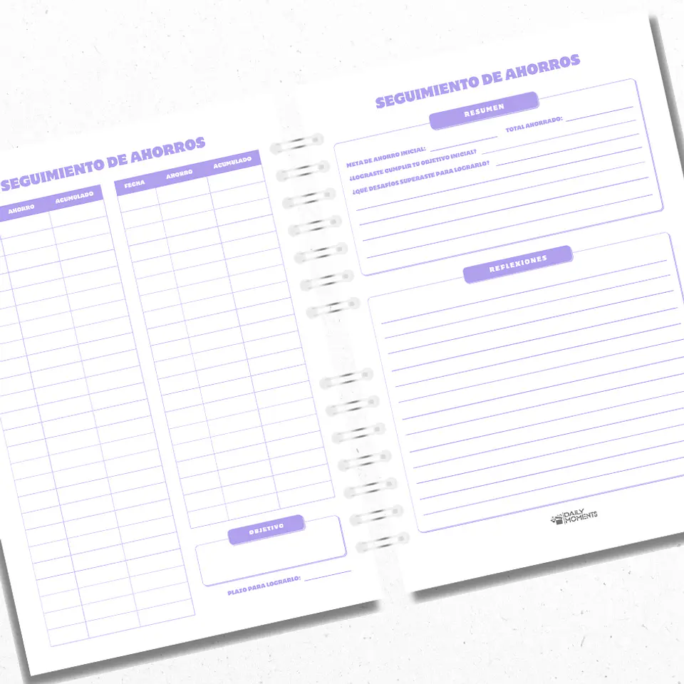 Planner Financiero Anual Morado 3