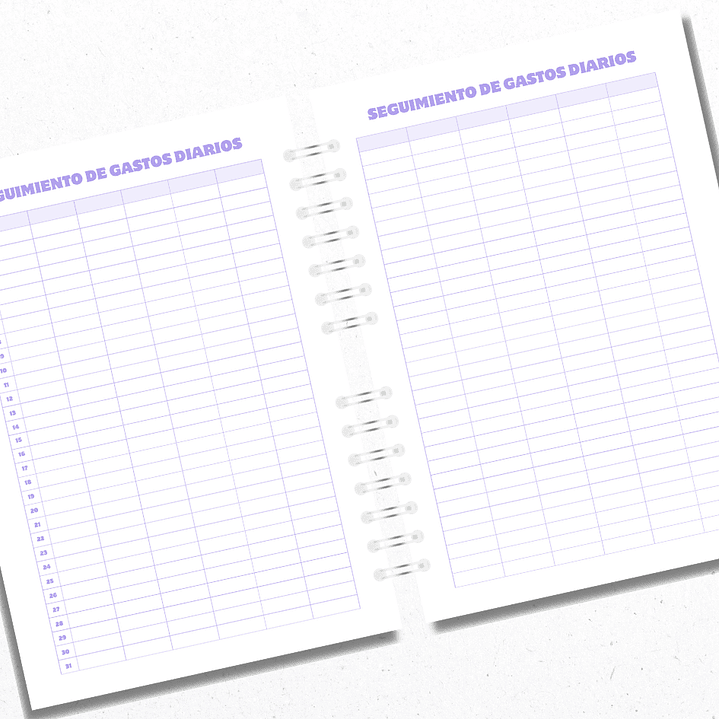 Planner Financiero Anual Morado 4