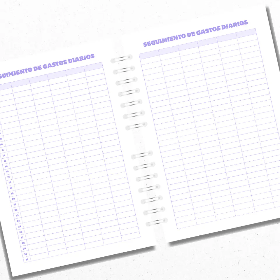 Planner Financiero Anual Morado 4