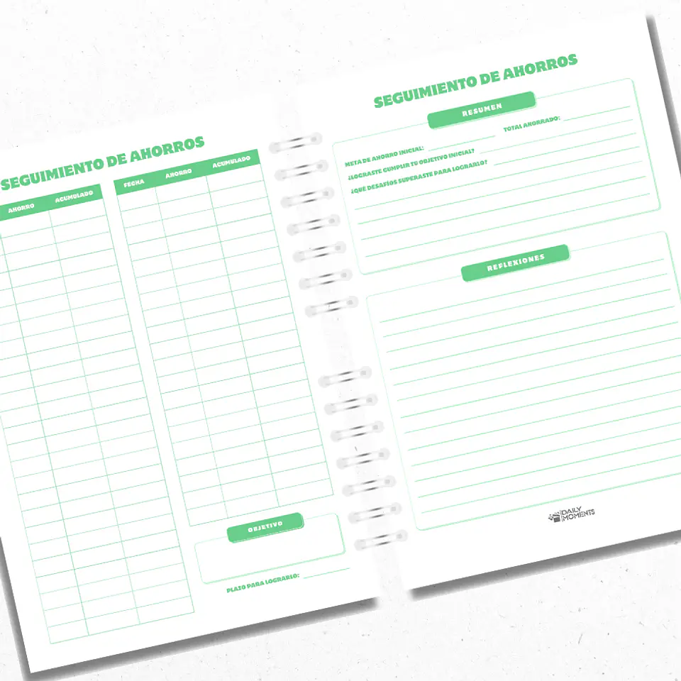 Planner Financiero Anual Verde 3