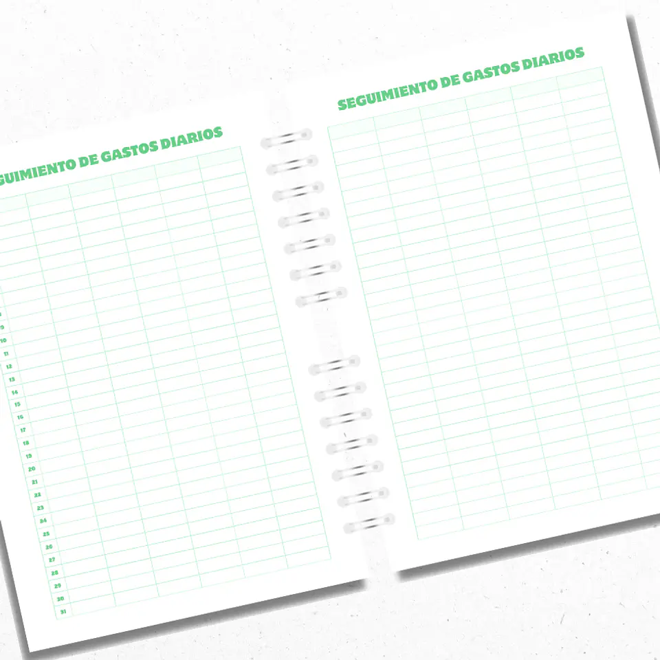 Planner Financiero Anual Verde 4