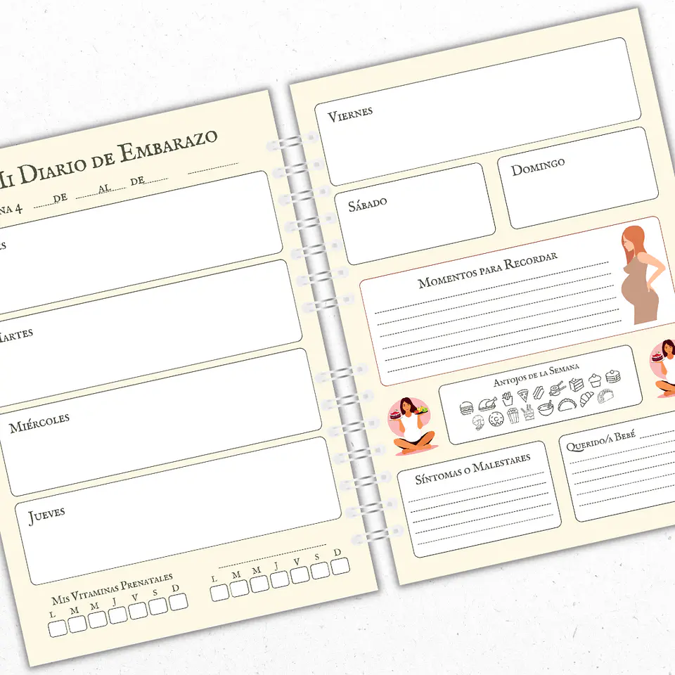 Diario Embarazo Personalizado 2 4