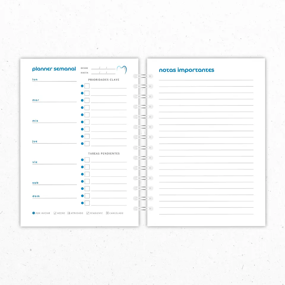 Planner Mensual Dentistas Celeste 4