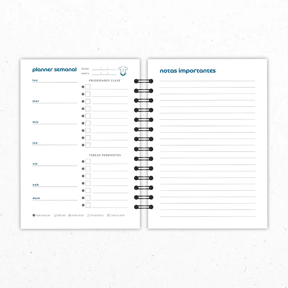 Planner Mensual Kinesiólogos Azul 5