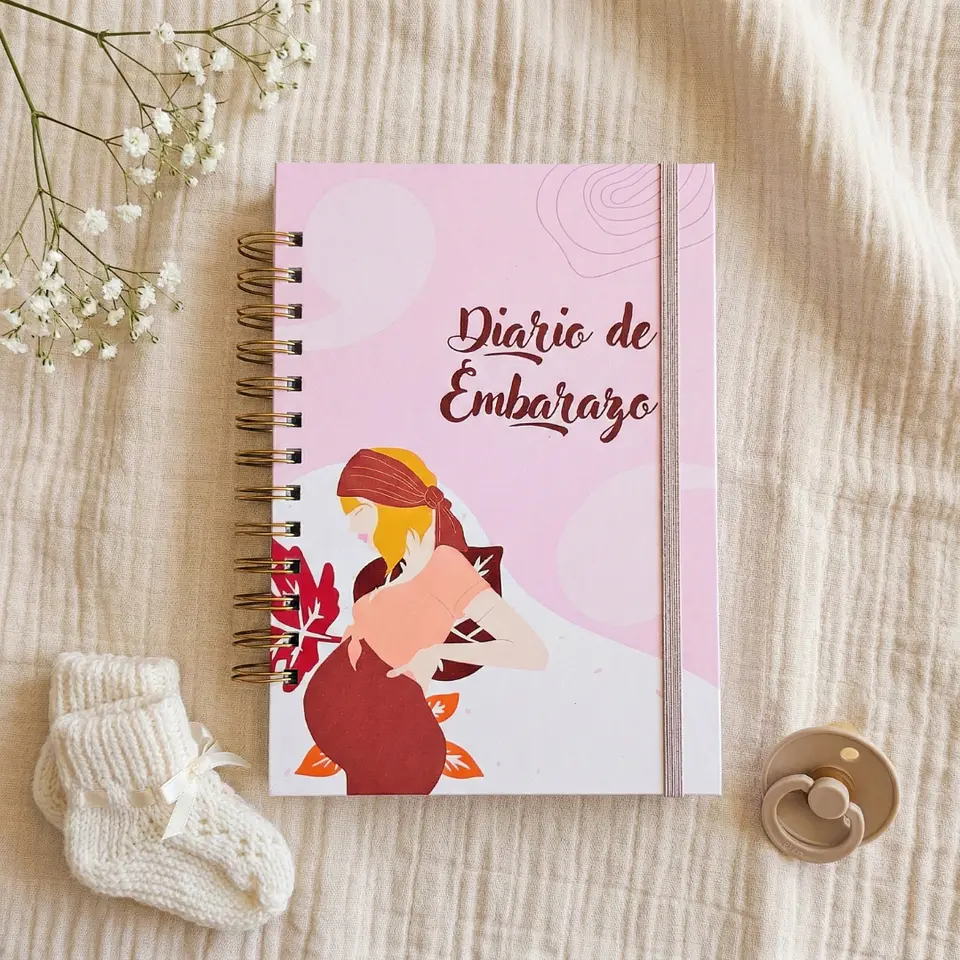 Diario Embarazo 2 1