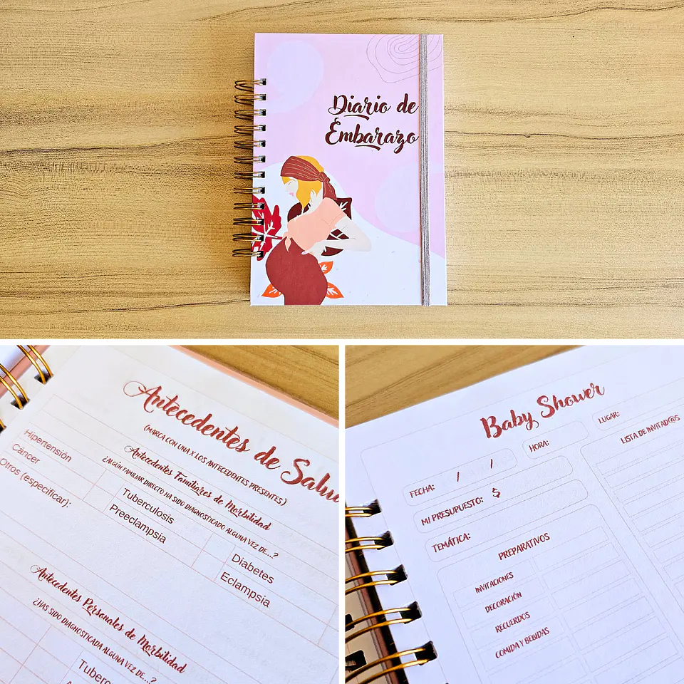 Diario Embarazo 2 3