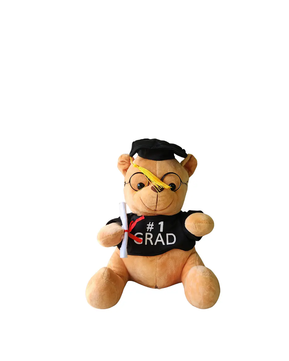 Peluche Graduación 20 cm. 4