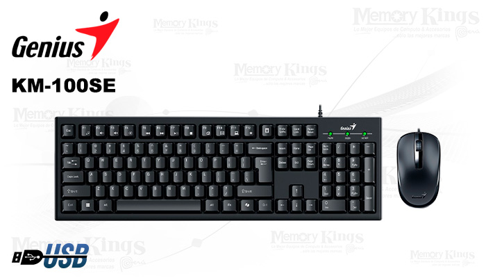 Combo Genius KM-100SE teclado y mouse USB negro