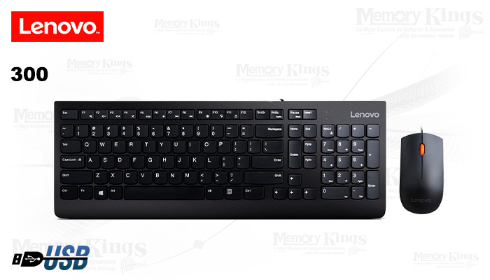 Combo Lenovo 300 teclado y mouse USB