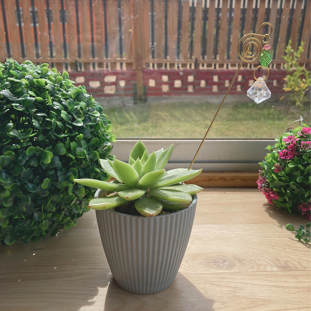 Adornos para Macetero - Pack Artesanal 1