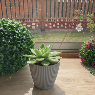 Adornos para Macetero - Pack Artesanal