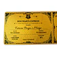 Ticket Hogwarts Express - Edición Premium - Miniatura 3