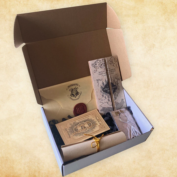 Pack Harry Potter - Tu Carta ha Llegado 2