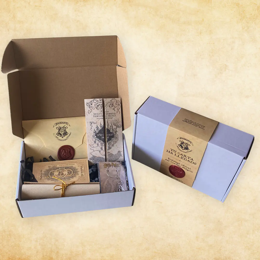 Pack Harry Potter - Tu Carta ha Llegado 4