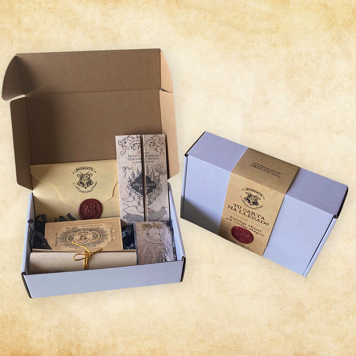 Pack Harry Potter - Tu Carta ha Llegado 4