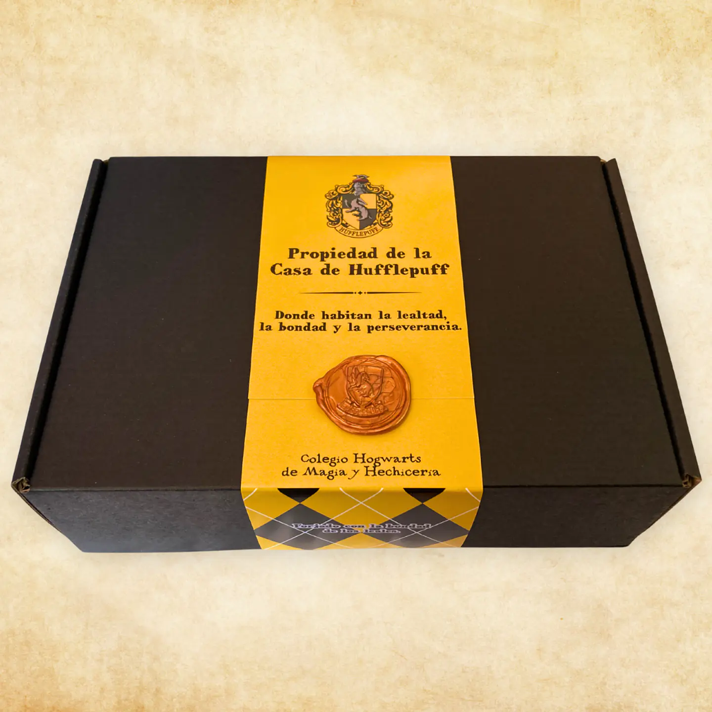 Pack Harry Potter - Casas de Hogwarts 13